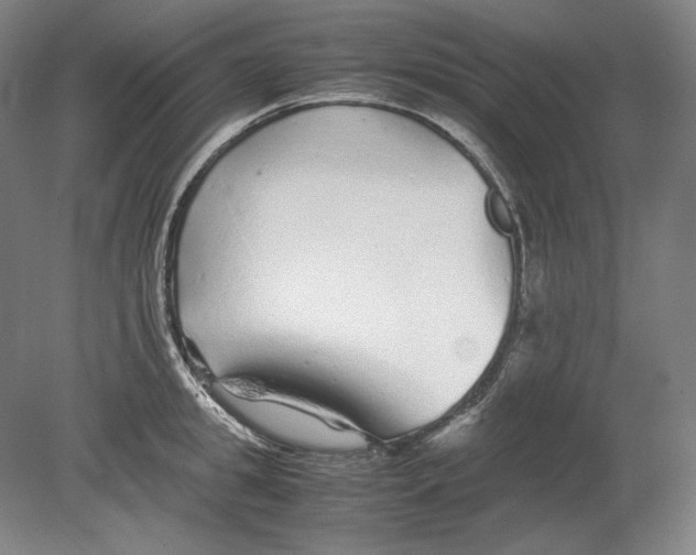 X0000080160949200701051602