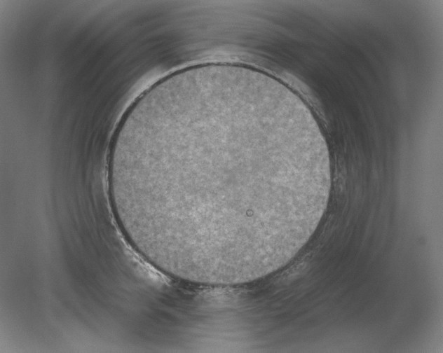 X0000080160950200701051602