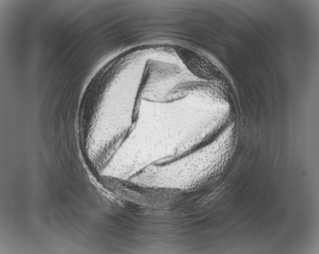 X0000080160951200701051602