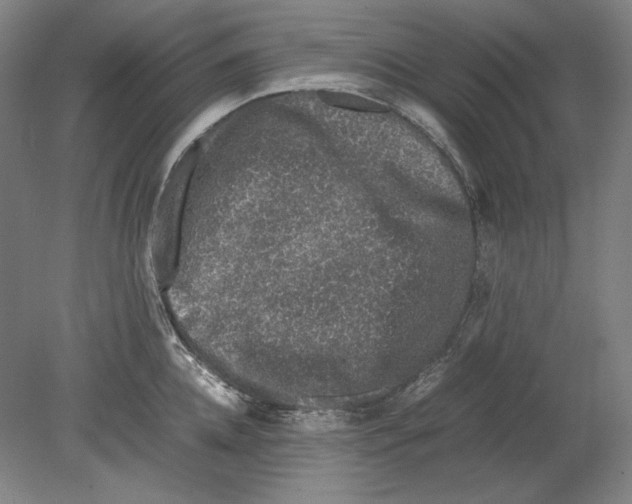 X0000080160952200701051602