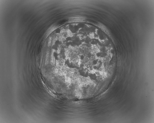 X0000080160953200701051602