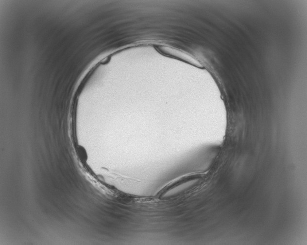 X0000080160955200701051602