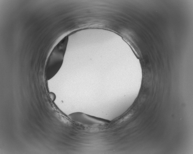 X0000080160956200701051602