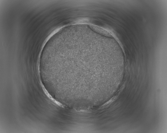 X0000080160957200701051602