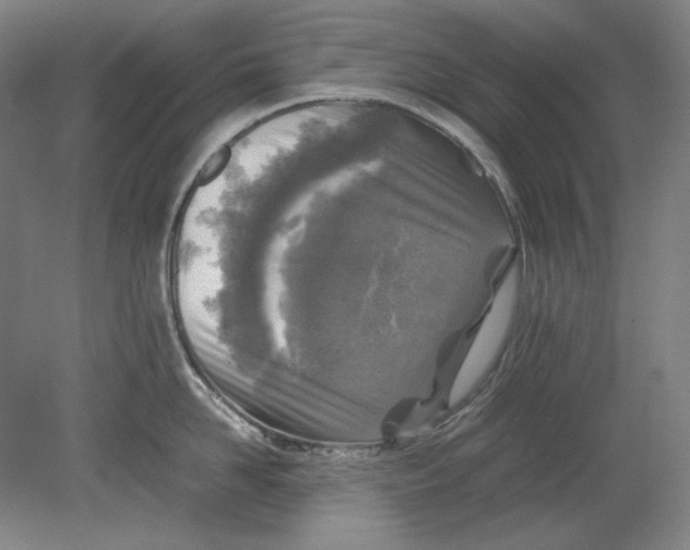 X0000080160958200701051602