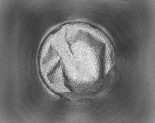 X0000080160959200701051602