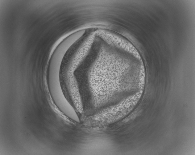 X0000080160960200701051602