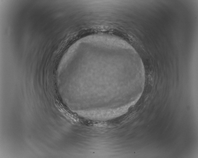 X0000080160961200701051601