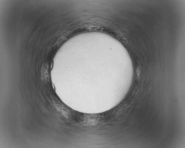 X0000080160963200701051601