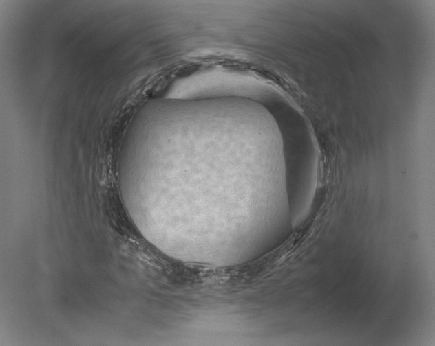 X0000080160965200701051601