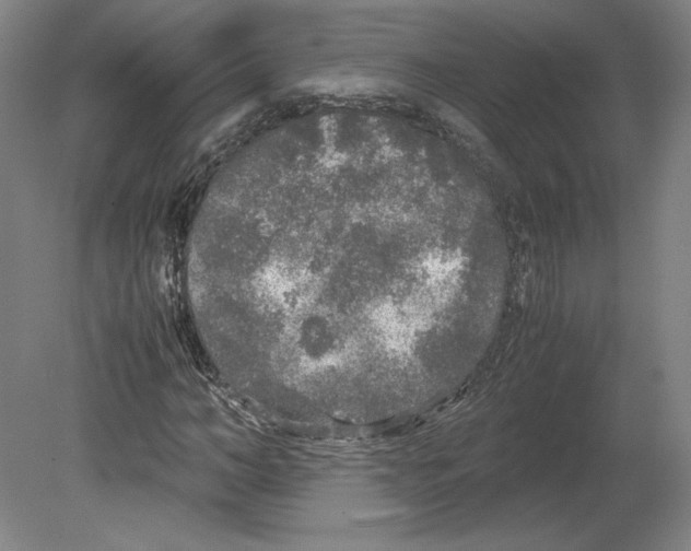 X0000080160966200701051601