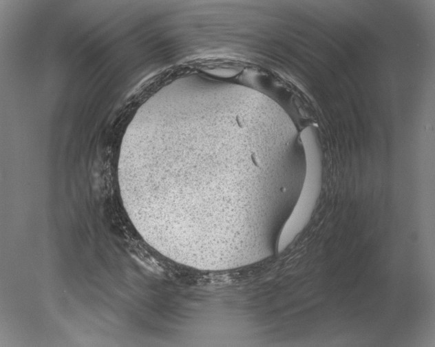 X0000080160968200701051601