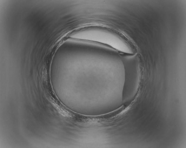 X0000080160969200701051601