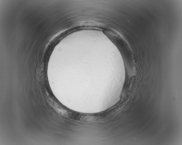 X0000080160971200701051601