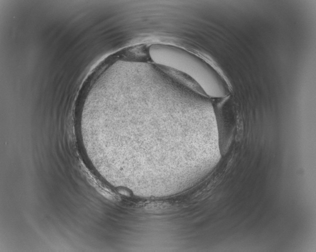 X0000080160972200701051601