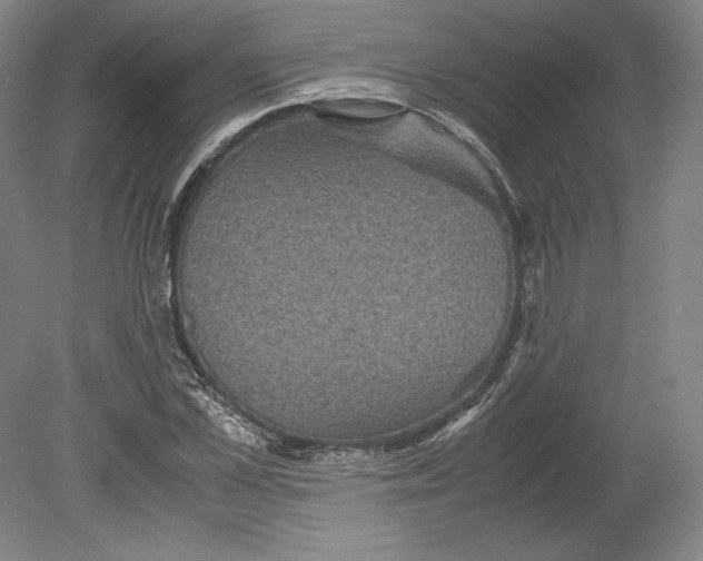 X0000080160973200701051601