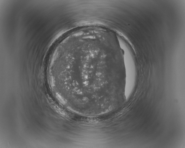 X0000080160975200701051601