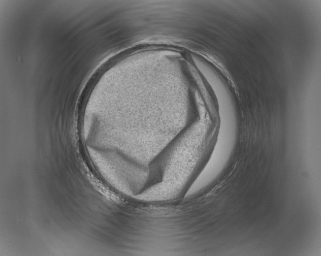 X0000080160976200701051601