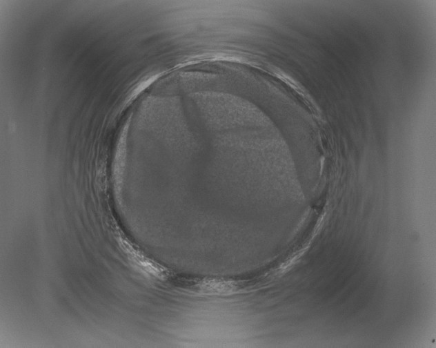 X0000080160977200701051601