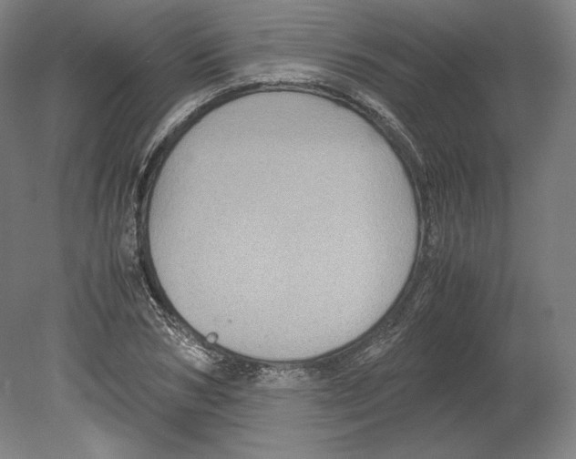 X0000080160978200701051601