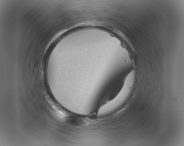 X0000080160981200701051601