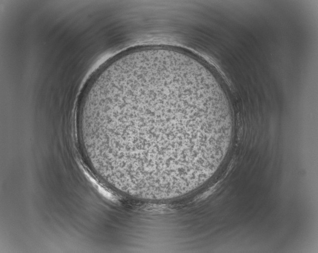 X0000080160982200701051601