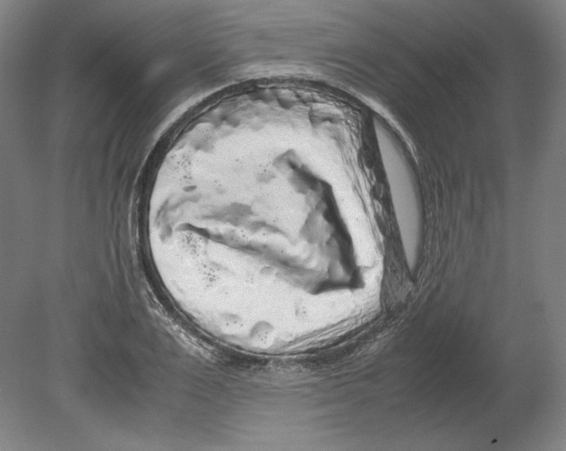 X0000080160983200701051601