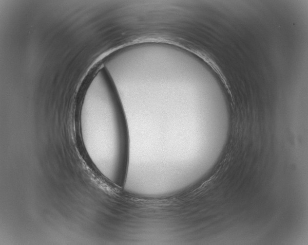 X0000080160984200701051601