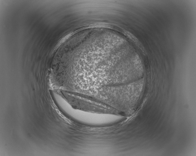 X0000080160985200701051601