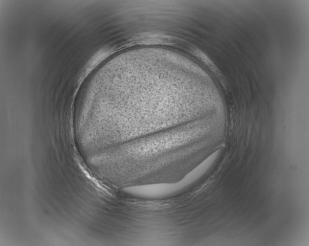 X0000080160986200701051601