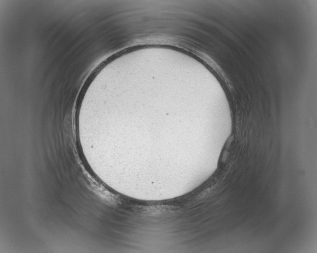 X0000080160988200701051601