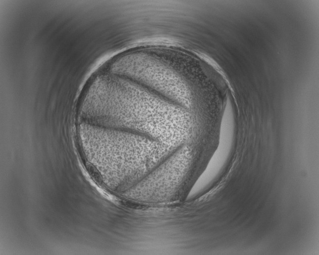 X0000080160989200701051601