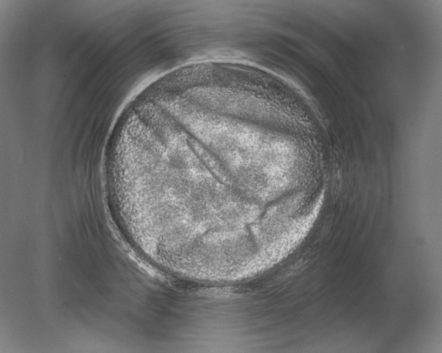 X0000080160990200701051600