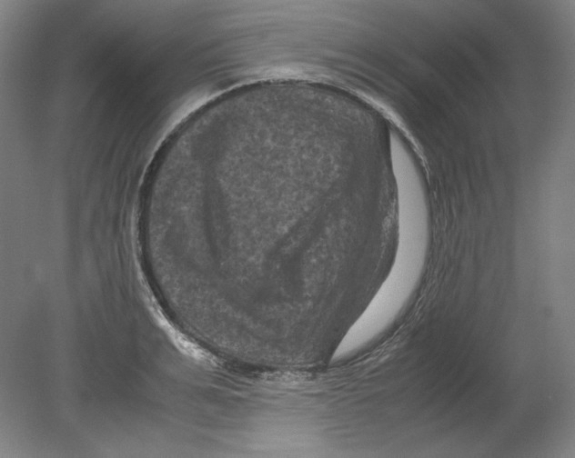 X0000080160991200701051600