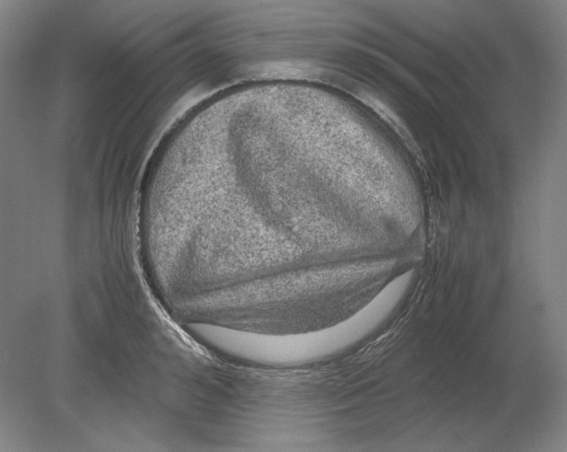 X0000080160992200701051600