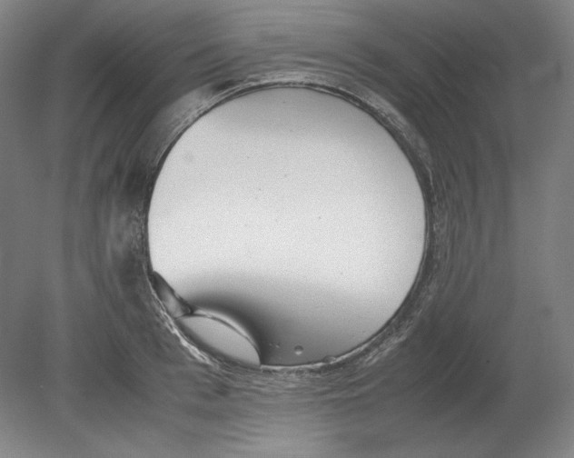 X0000080160993200701051600