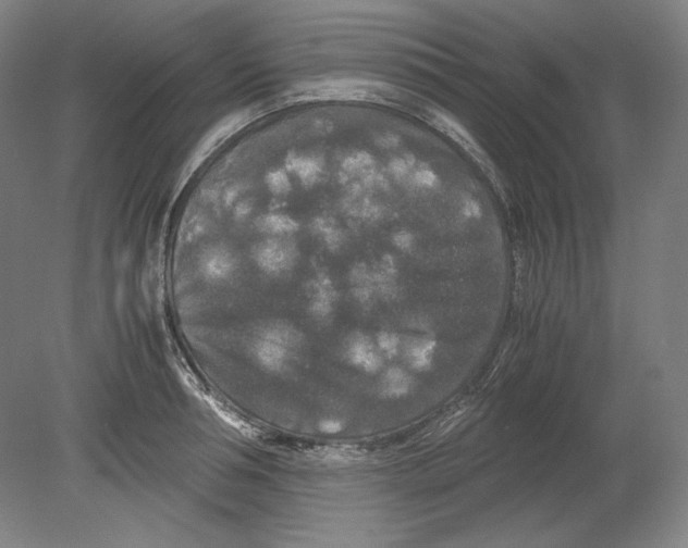 X0000080160994200701051600