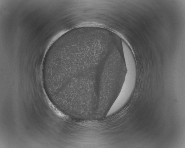 X0000080160995200701051600