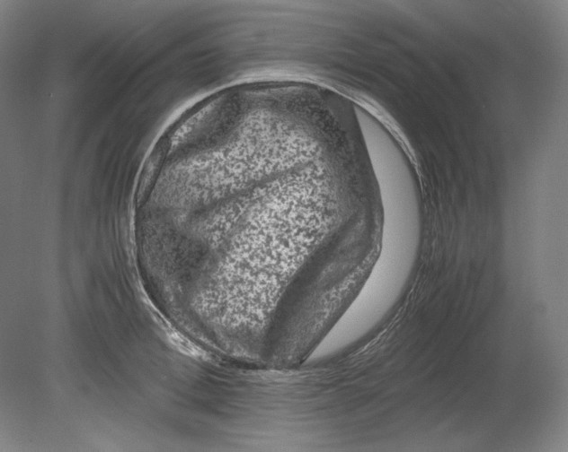 X0000080160996200701051600