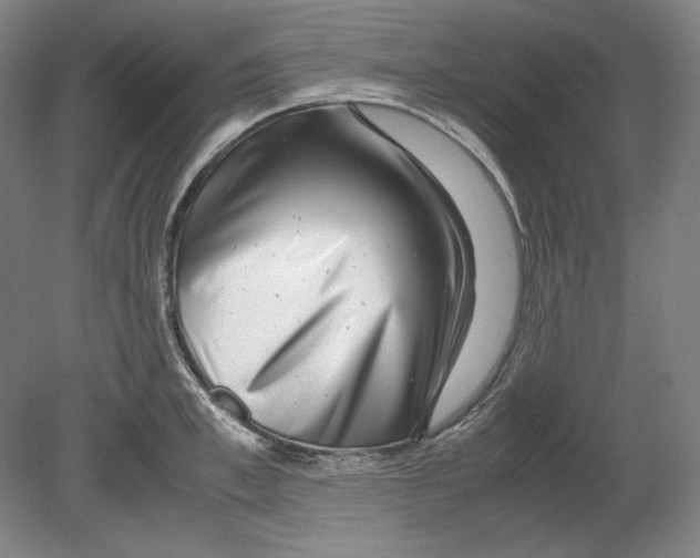 X0000080160997200701051600