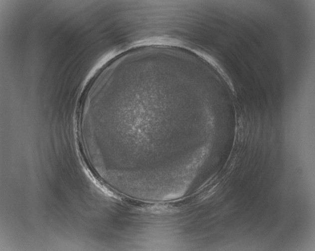 X0000080160998200701051600