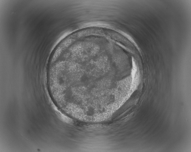 X0000080160999200701051600