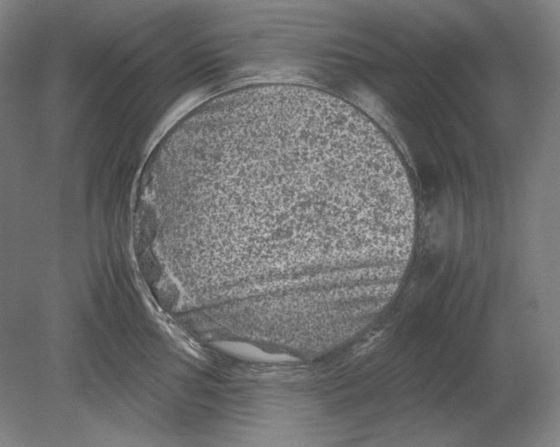 X0000080161002200701051600