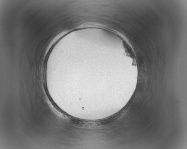 X0000080161003200701051600