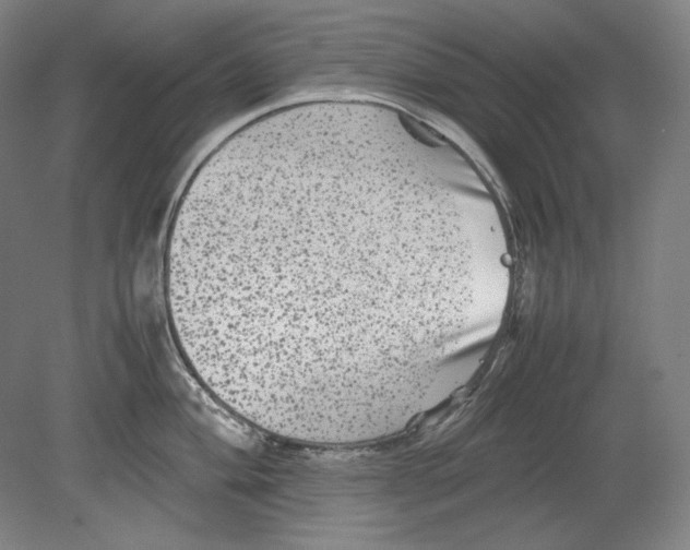 X0000080161004200701051600