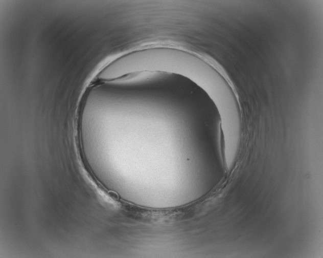 X0000080161005200701051600