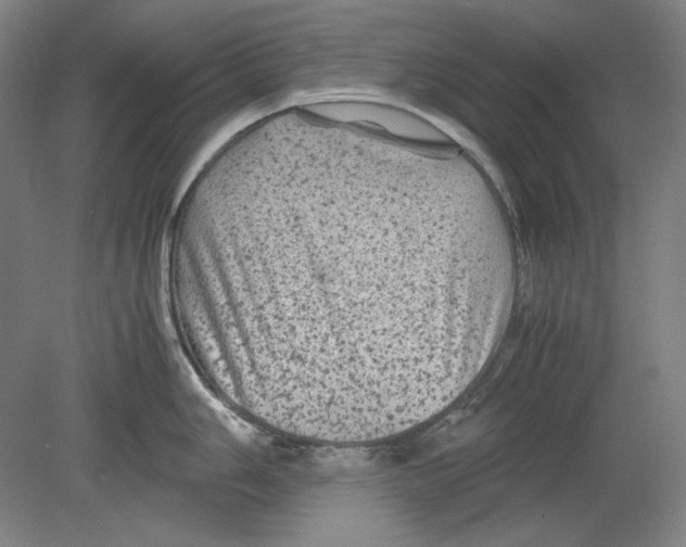 X0000080161006200701051600