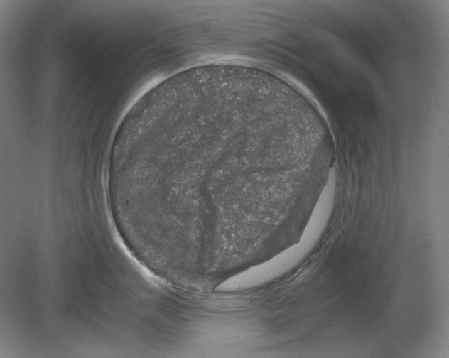 X0000080161007200701051600