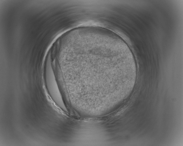 X0000080161008200701051600