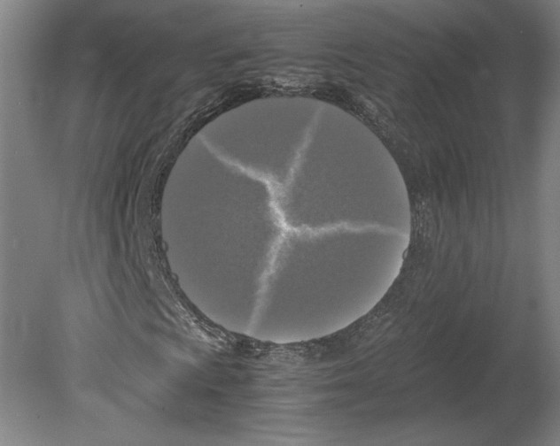 X0000080161009200701051559